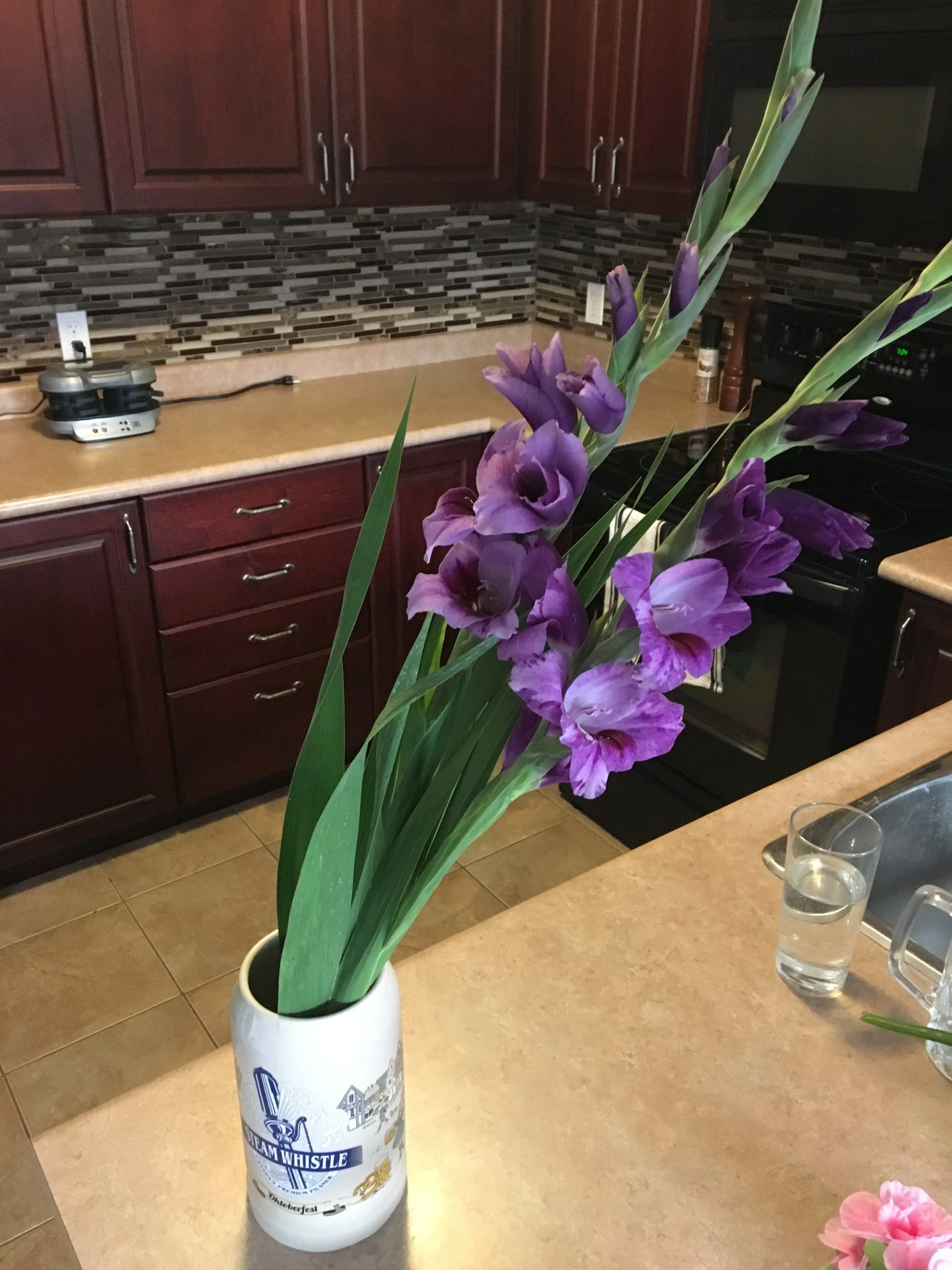 Birthday Surprise