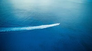 Winston Freedom Island