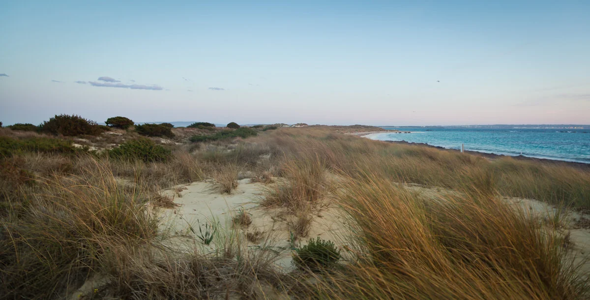 FORMENTERA_1-47.JPG