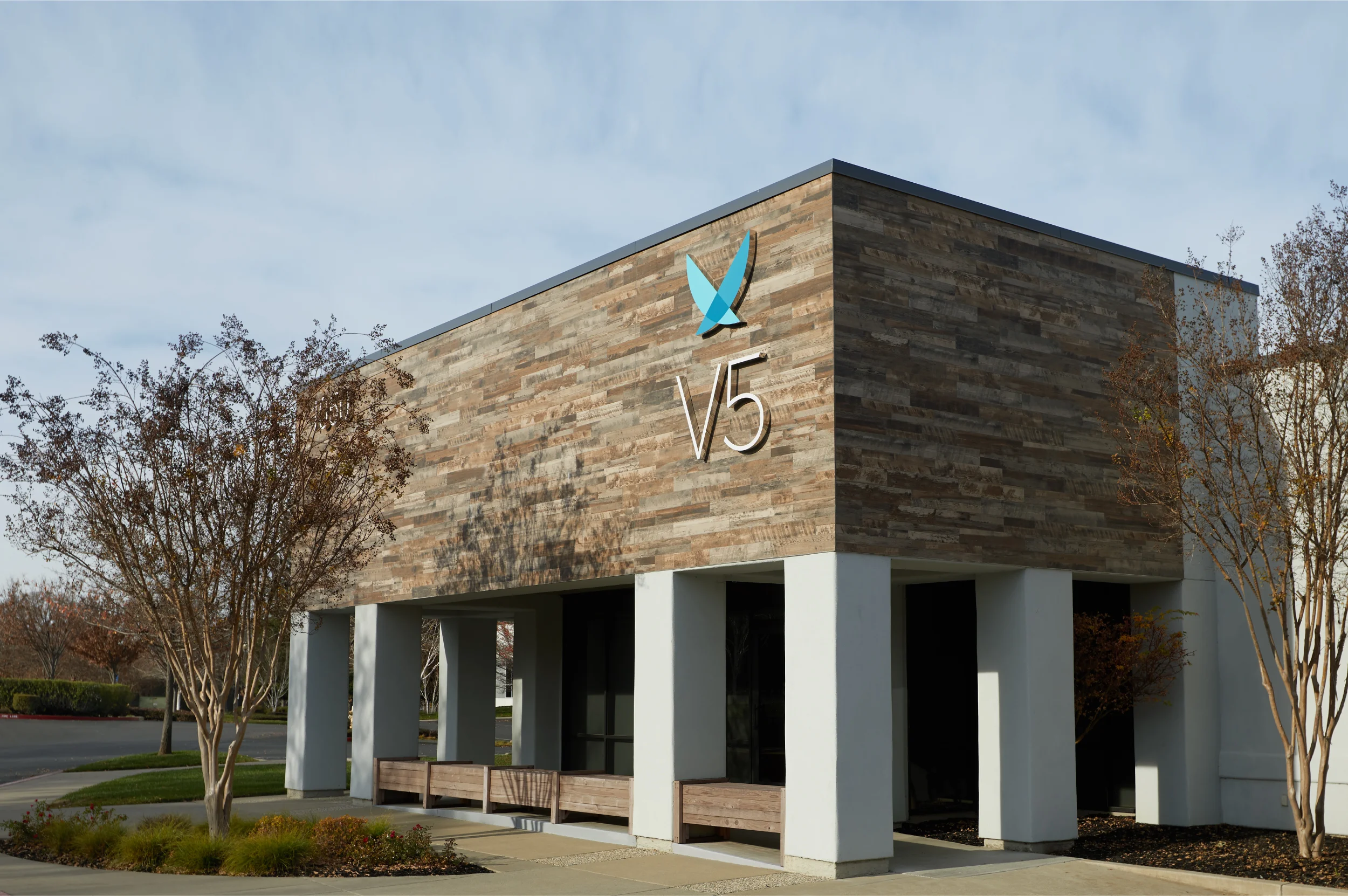 V5-01.jpg