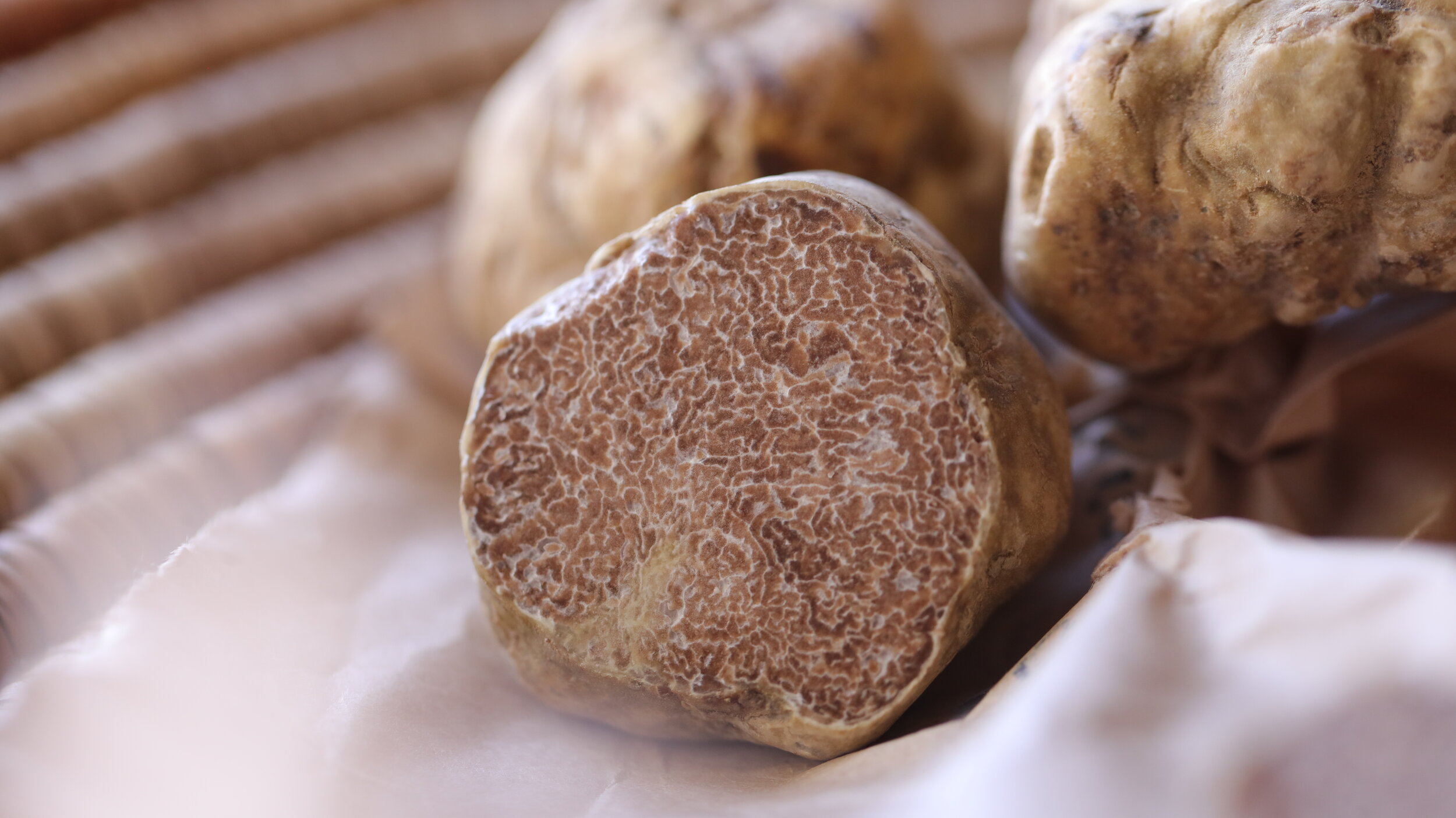 white truffle.JPG
