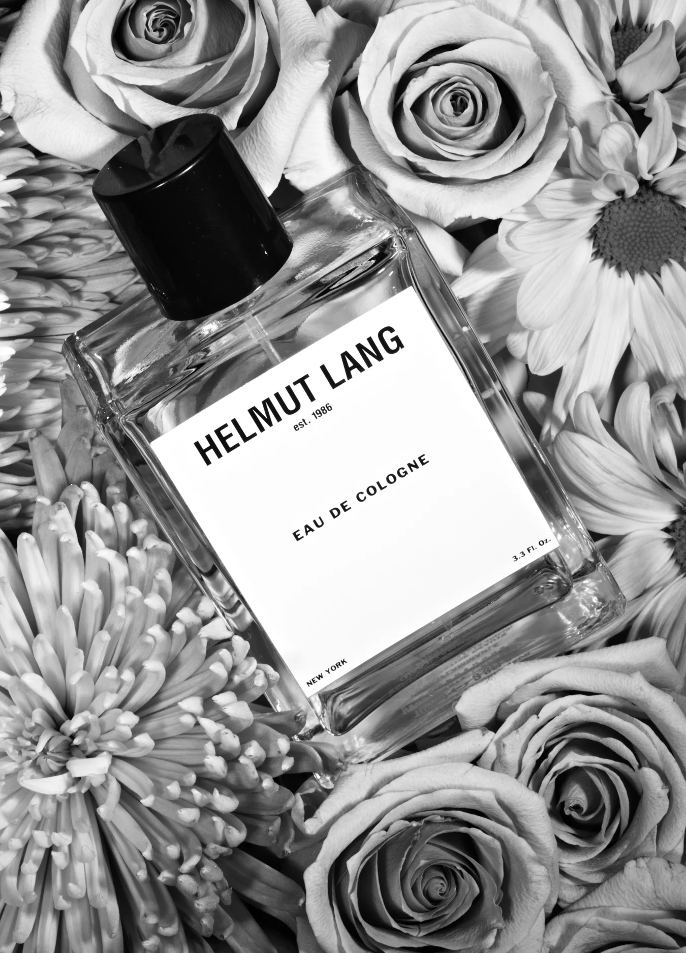 130201_Perfumes 0004_v1_fl.jpg