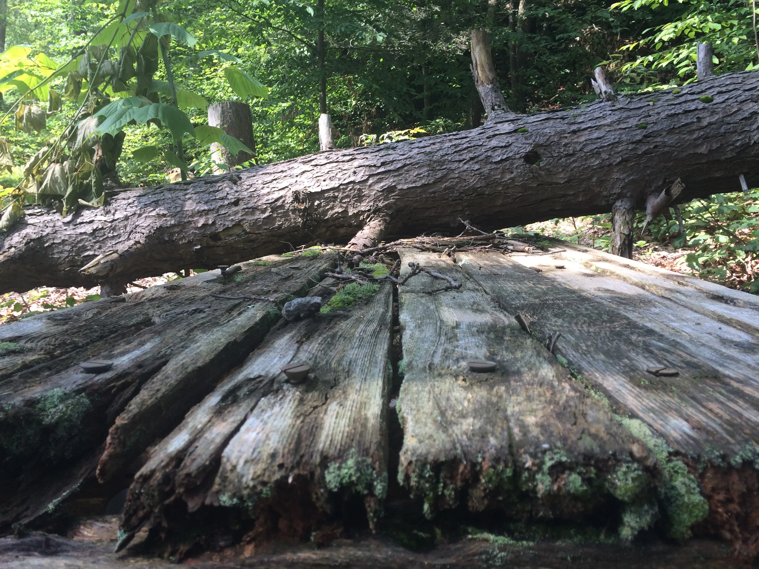 MotoCamping - Week 7 - Clarence Fahnestock