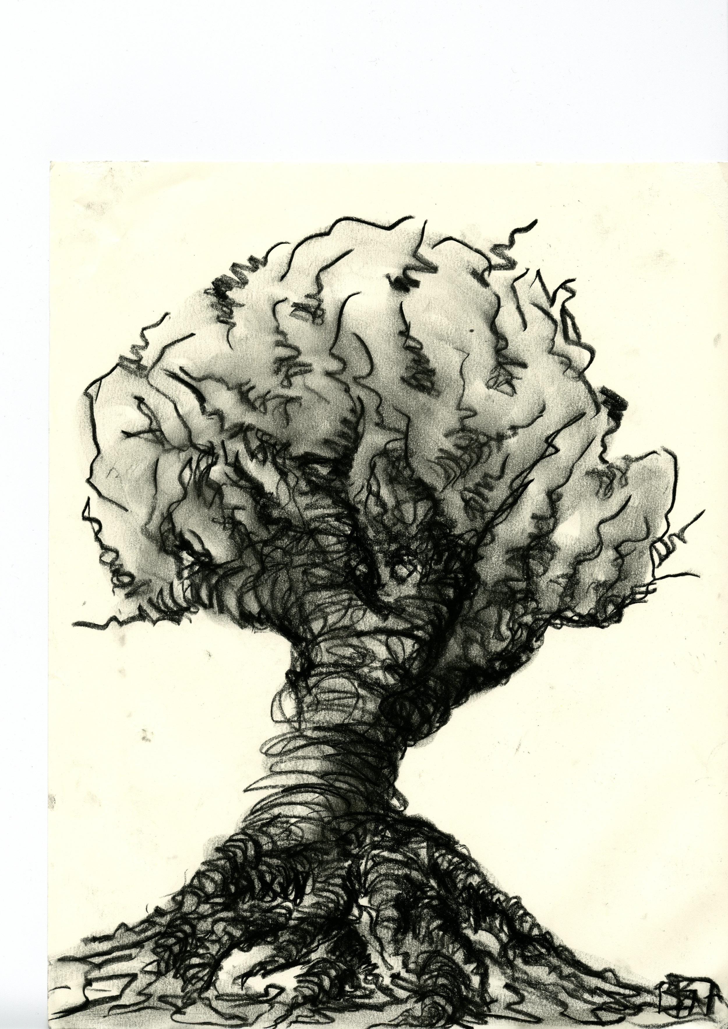 Tree2013.jpg