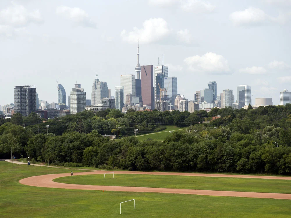What you need to know about Community Environment Day at Riverdale Park
