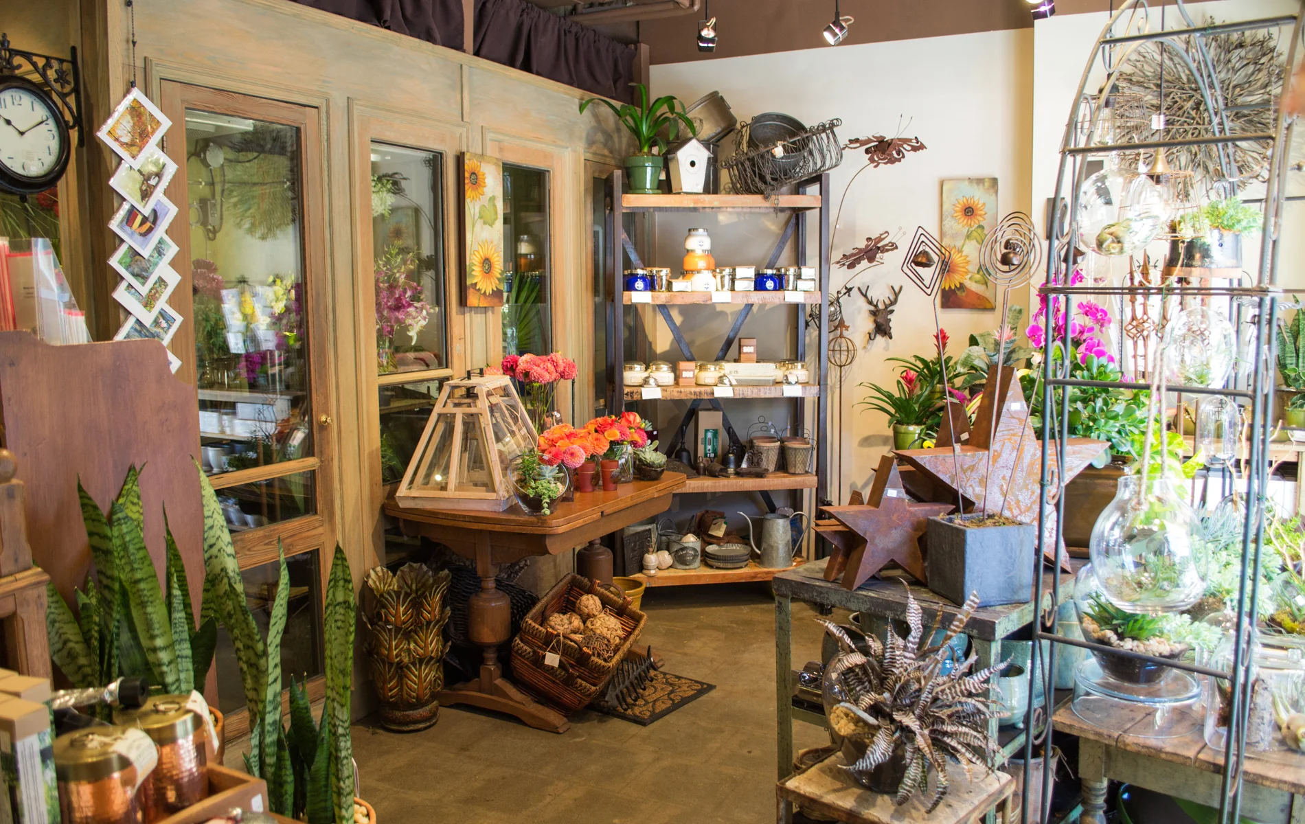 The+Store.jpg
