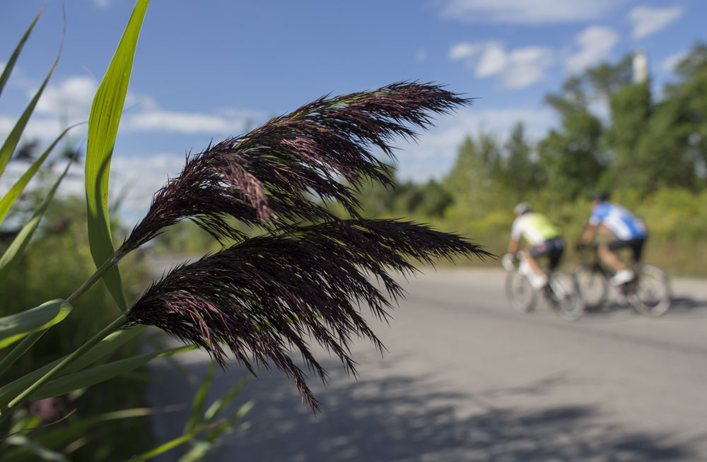 Five things to do this spring on Toronto's east side