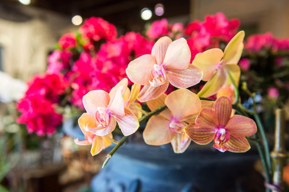 Garden's Path Floral Design brightens Leslieville with fresh, vibrant blooms