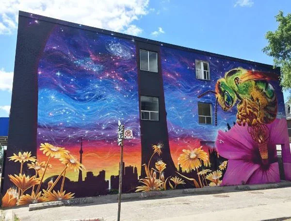 A west end art crawl of some of Toronto's best murals
