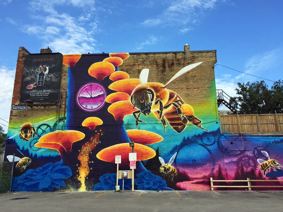 Riverside just got a colourful mural inspired by pollination and time