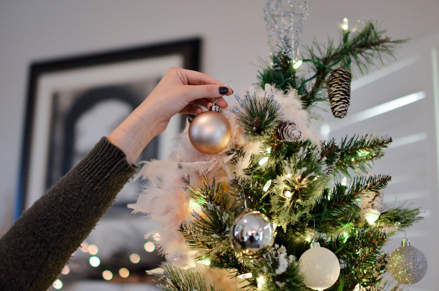 Where to pick the perfect Christmas tree in Toronto's east end