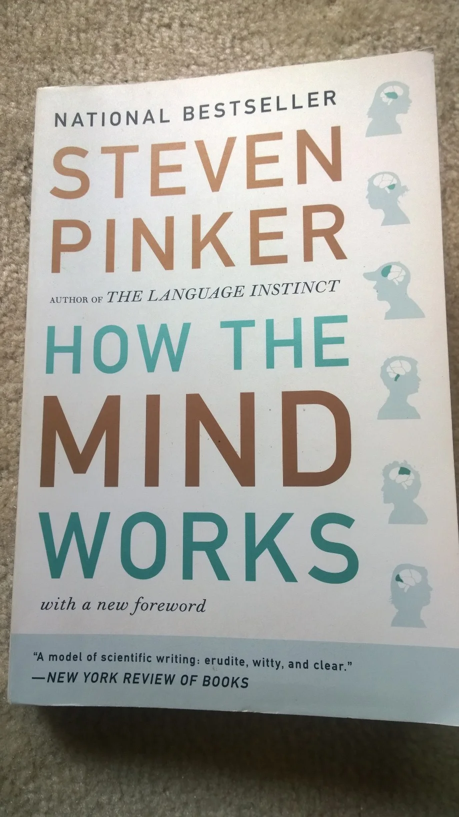 Steven Pinker's questions regarding consciousness