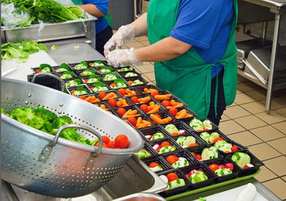 Food Directly Affects Education