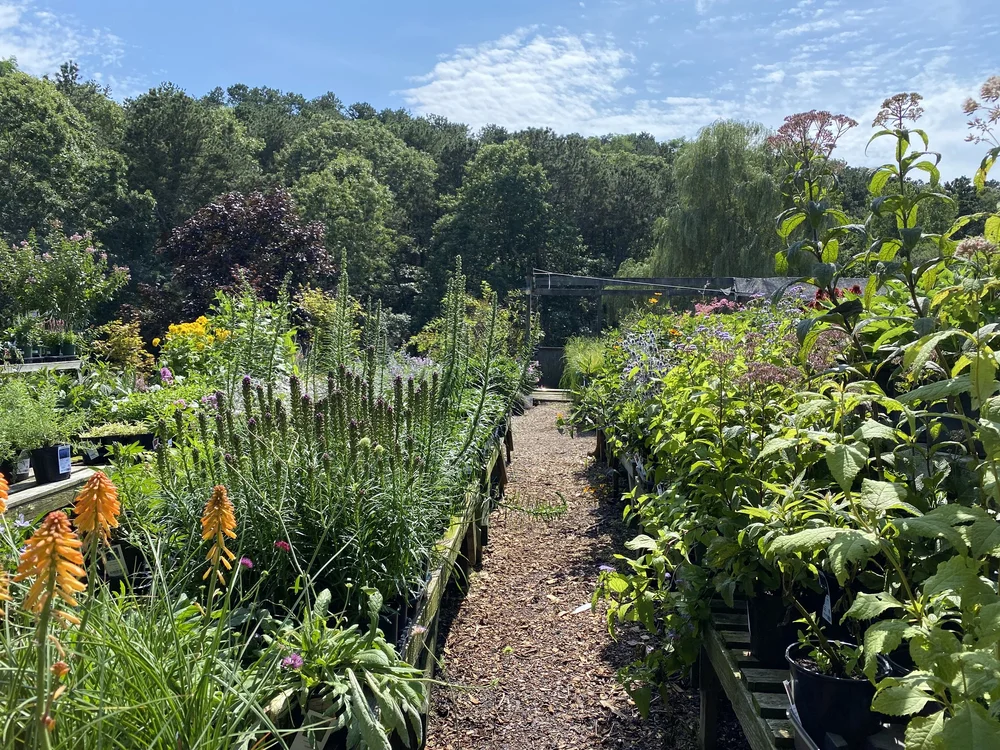 Bayberry Gardens Nursery & Garden Center on Cape Cod