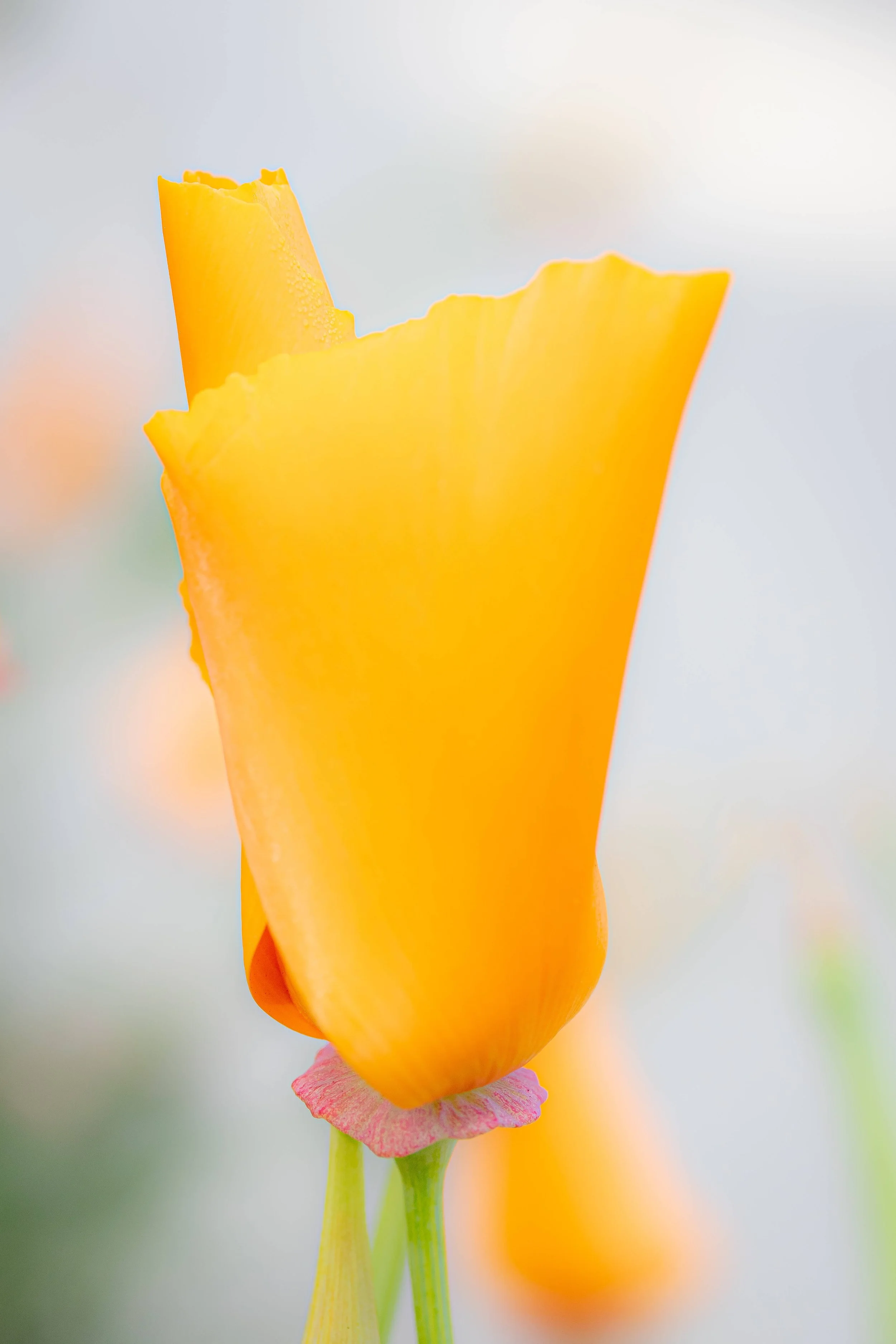 5X4A0069.jpg