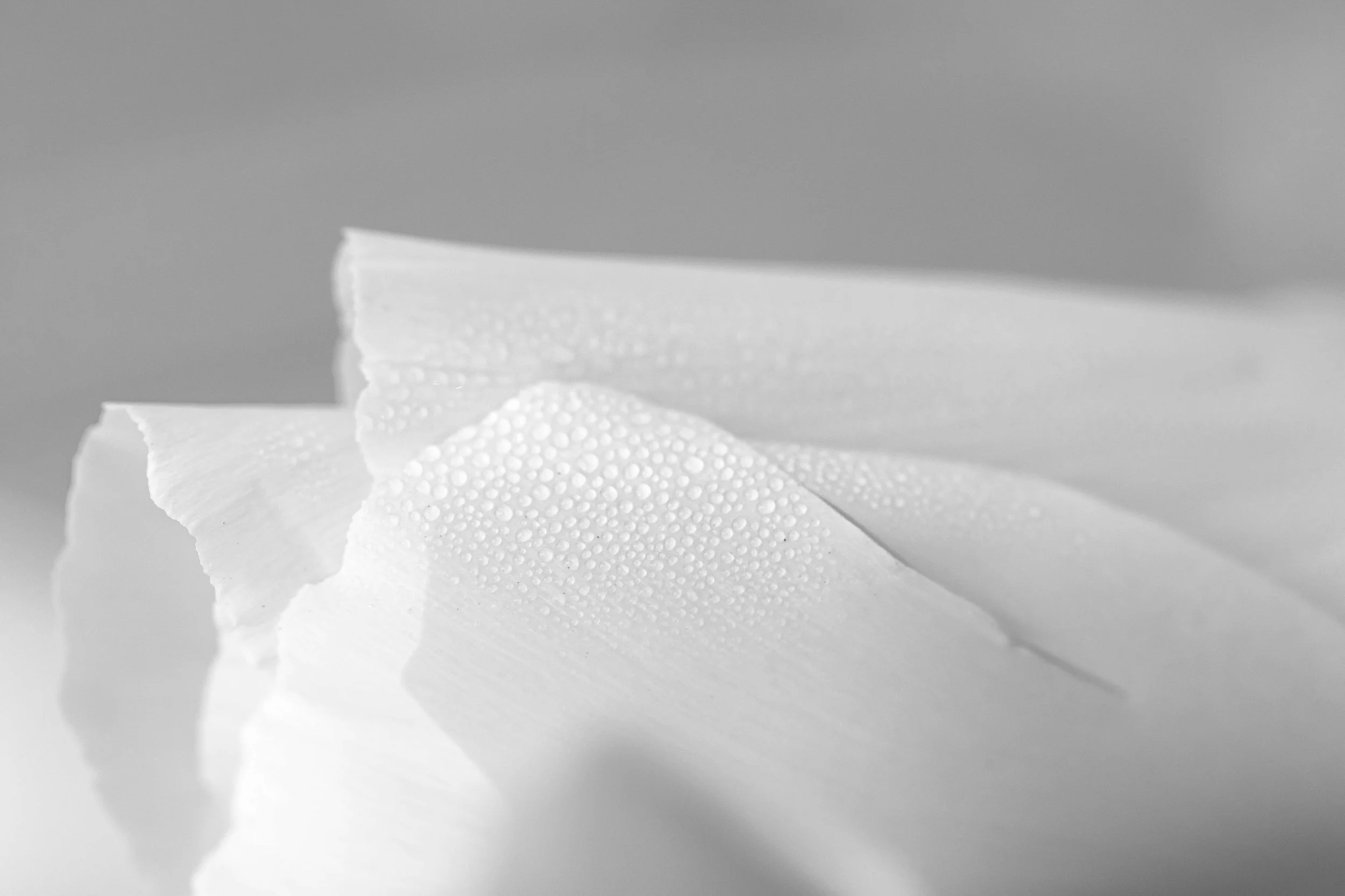 5X4A0068.jpg