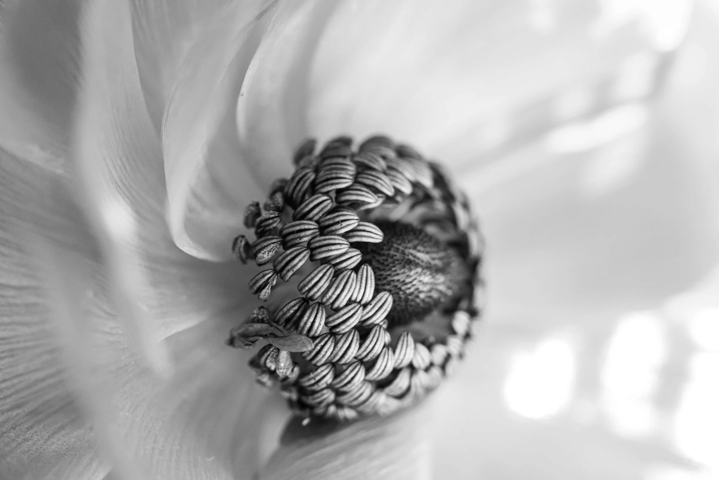 5X4A0116.jpg