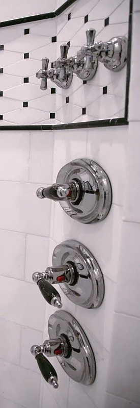 spriggsmastershowercontrols.jpg