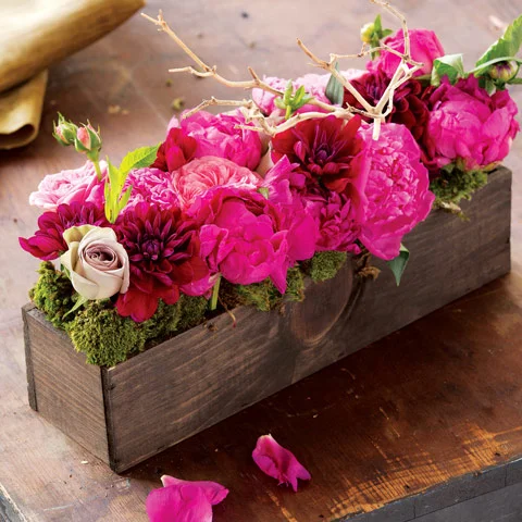 Go To - Amazing Flowers