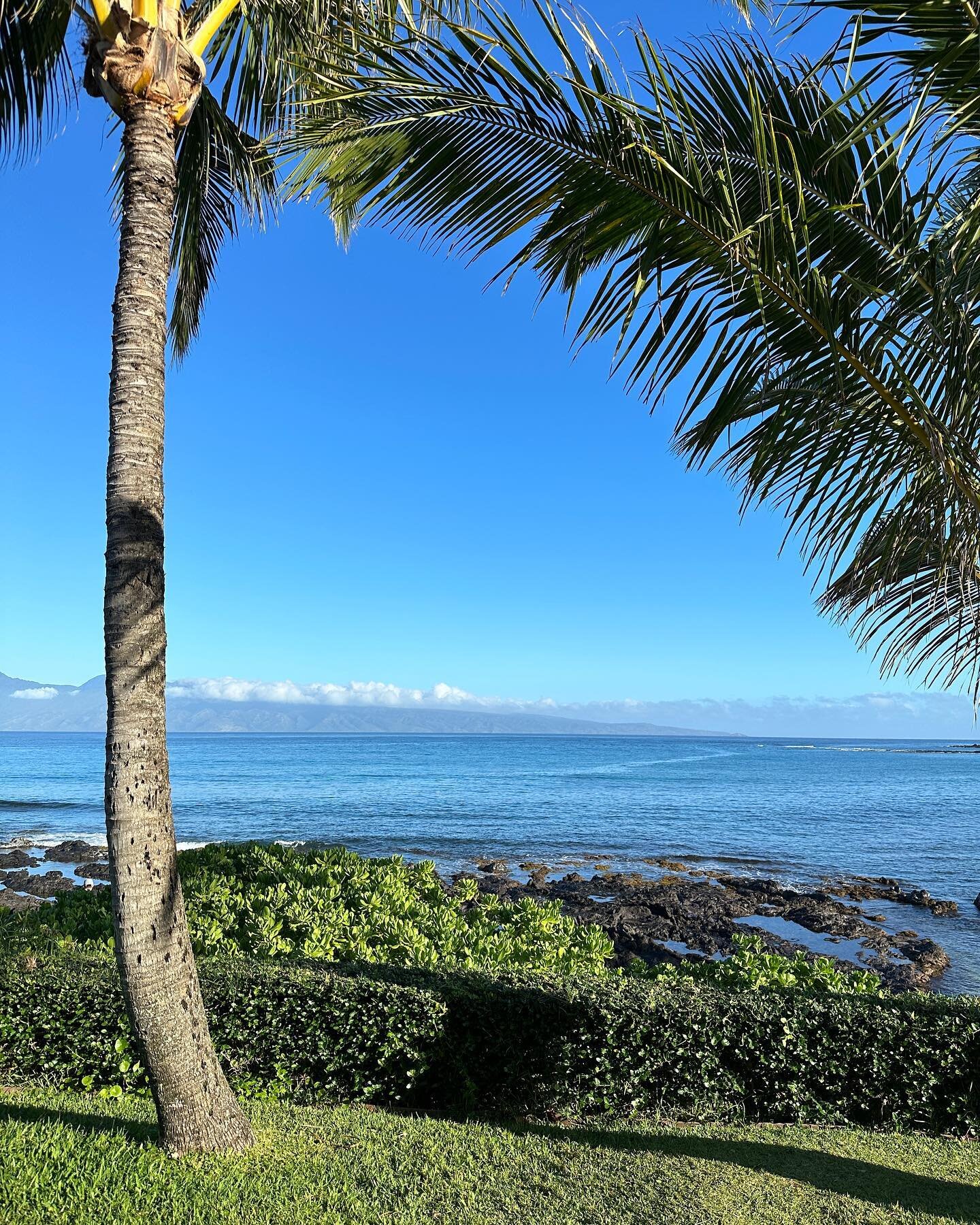 Waiting in line at Gazebo to get take out today. Not the worst place to have to wait.