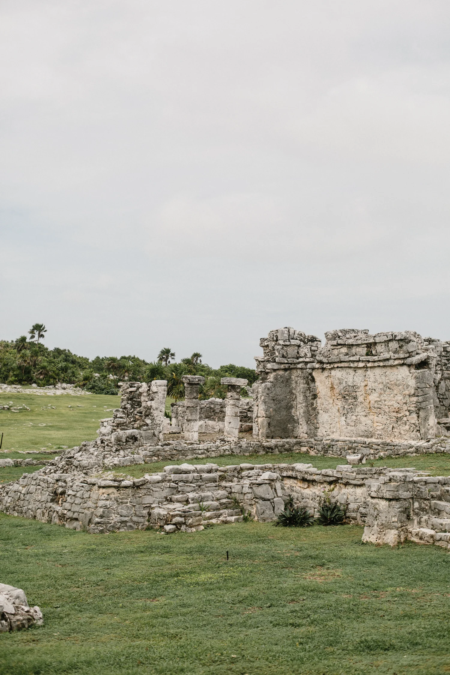 MKSadler_-3705.jpg