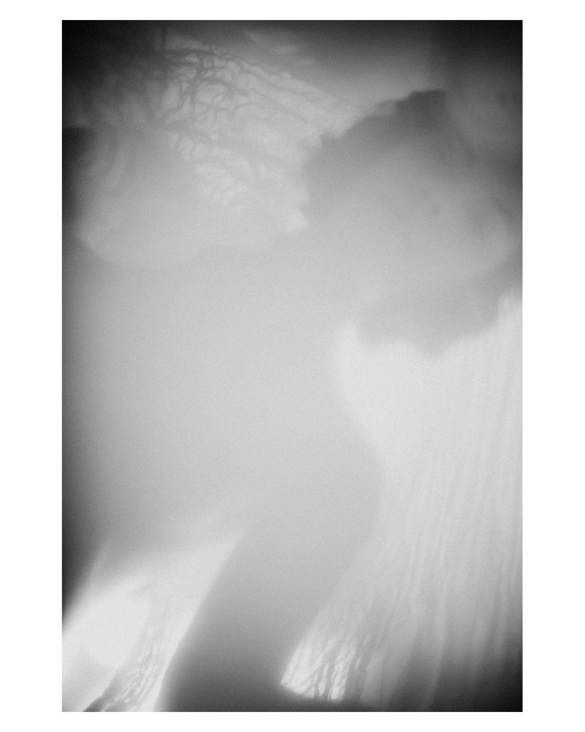 Untitled-1.png