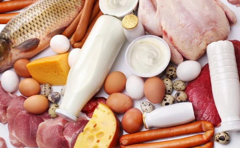 eggs dairy fish.jpg