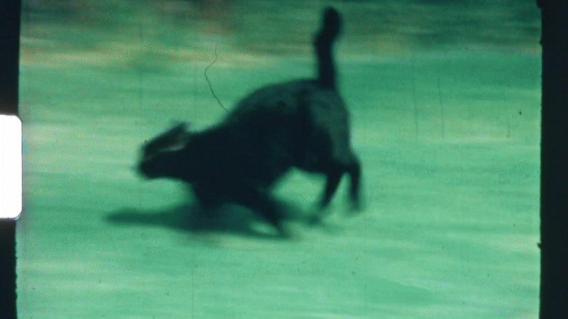 Part that Touched Your Heart 02.gif