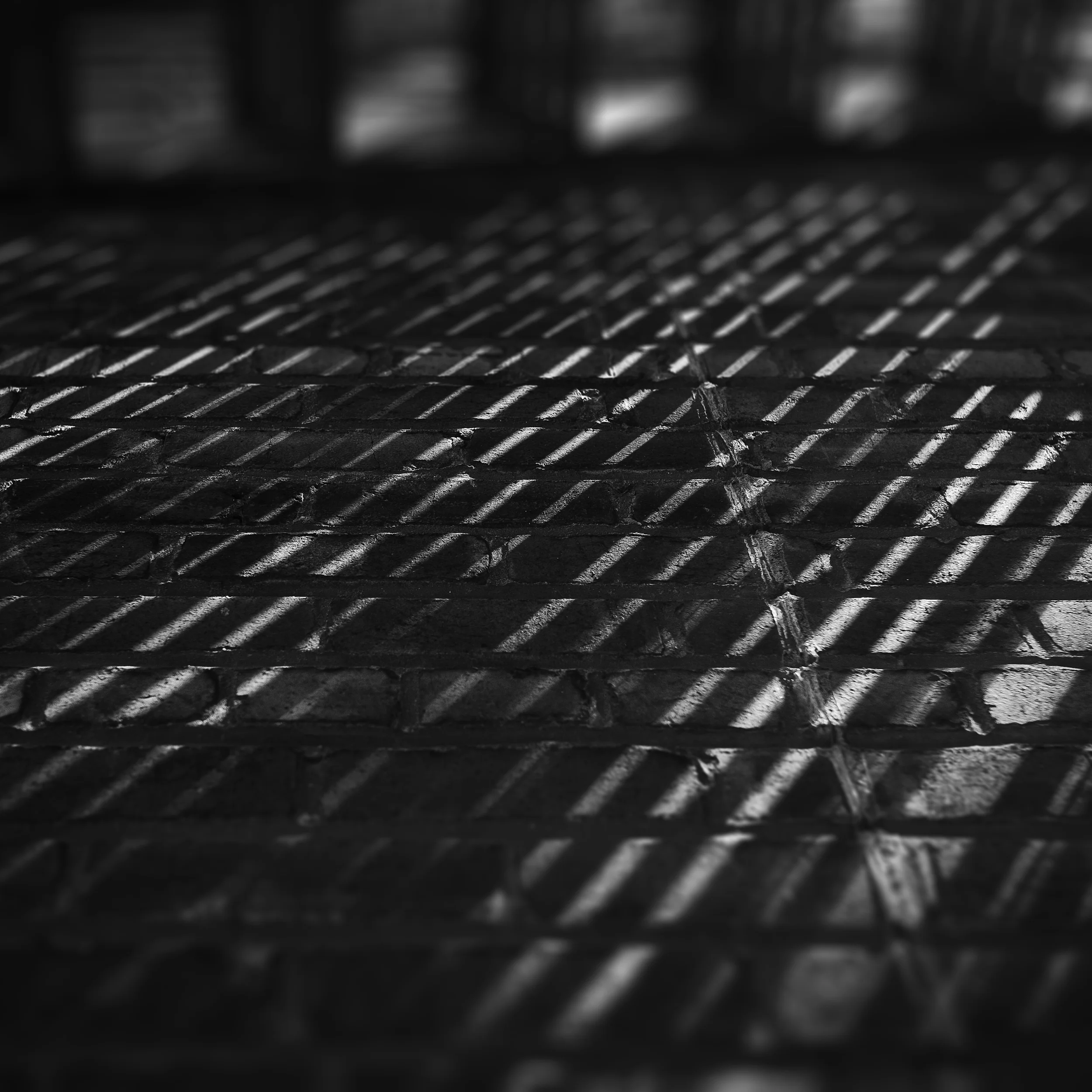14152134221_a90e50e24f_o.jpg