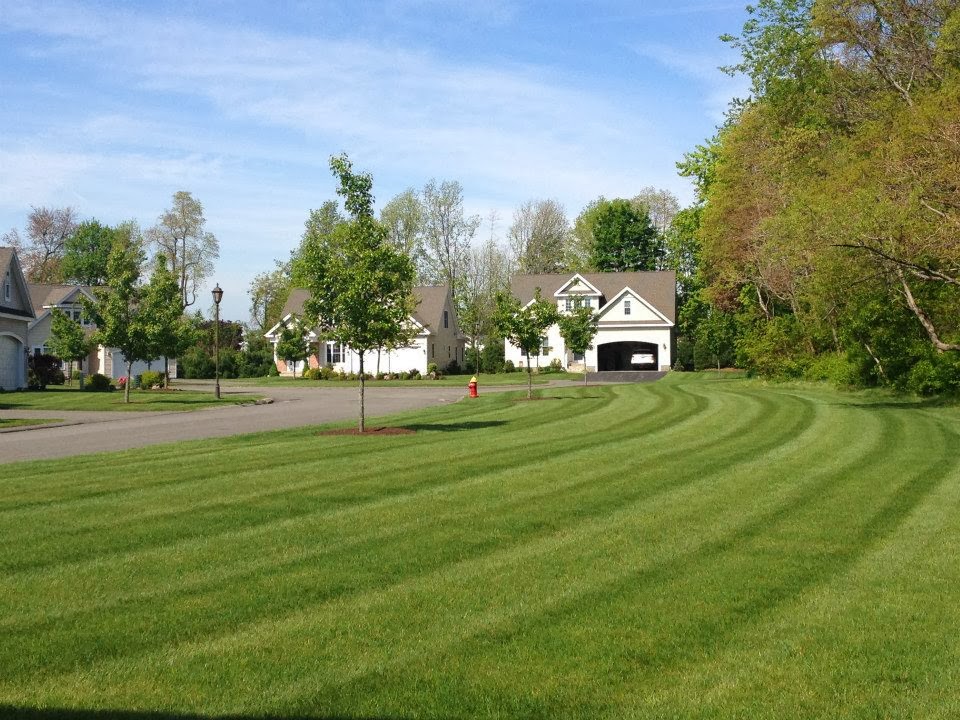 Commercial Maintenance Rocky Hill Ct, How To Get Llc For Landscaping