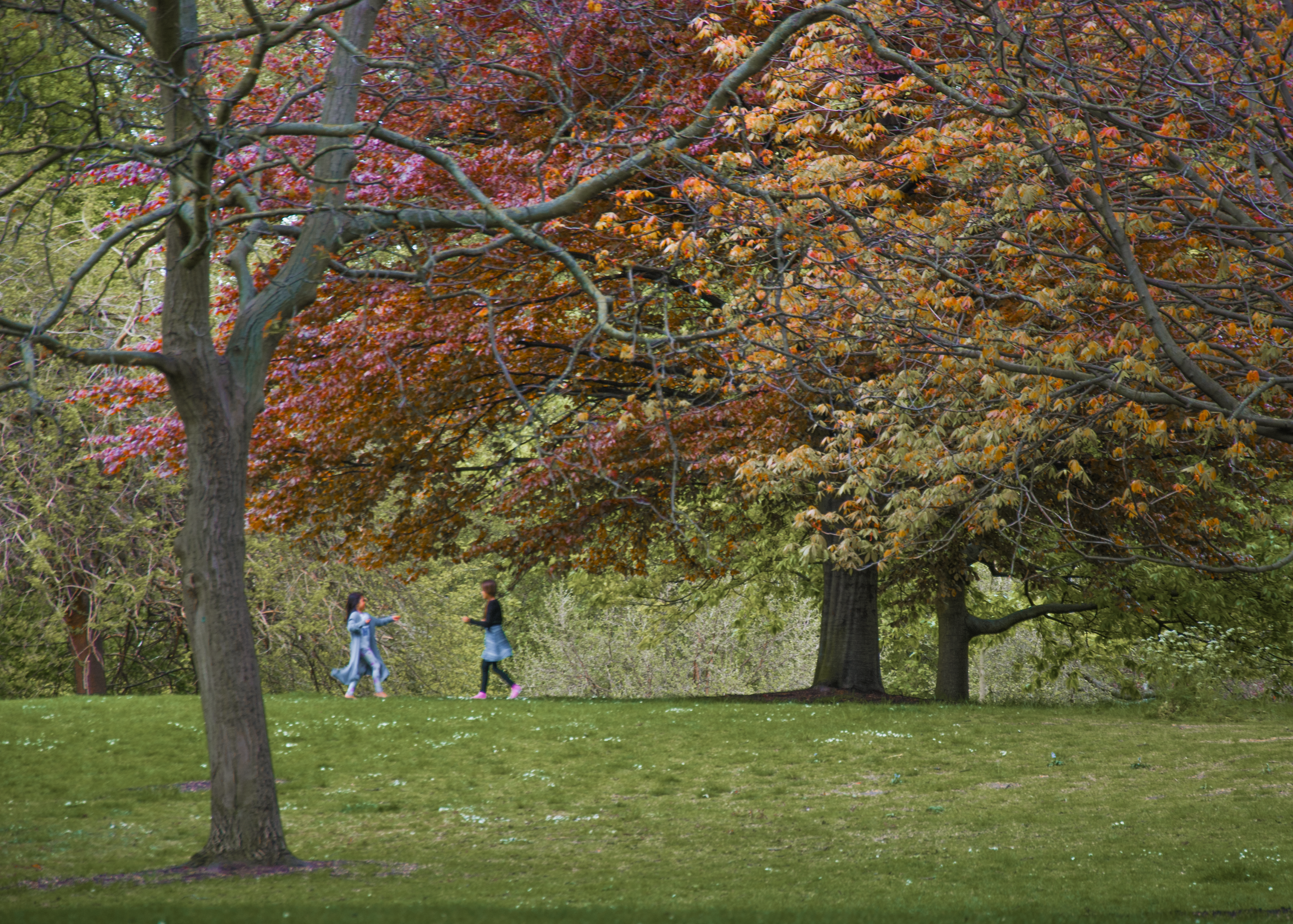 St James's Park