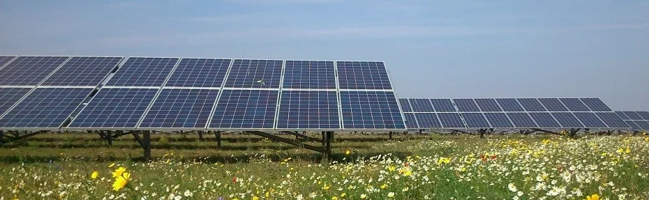 solar-panels-wildflowersC.jpg