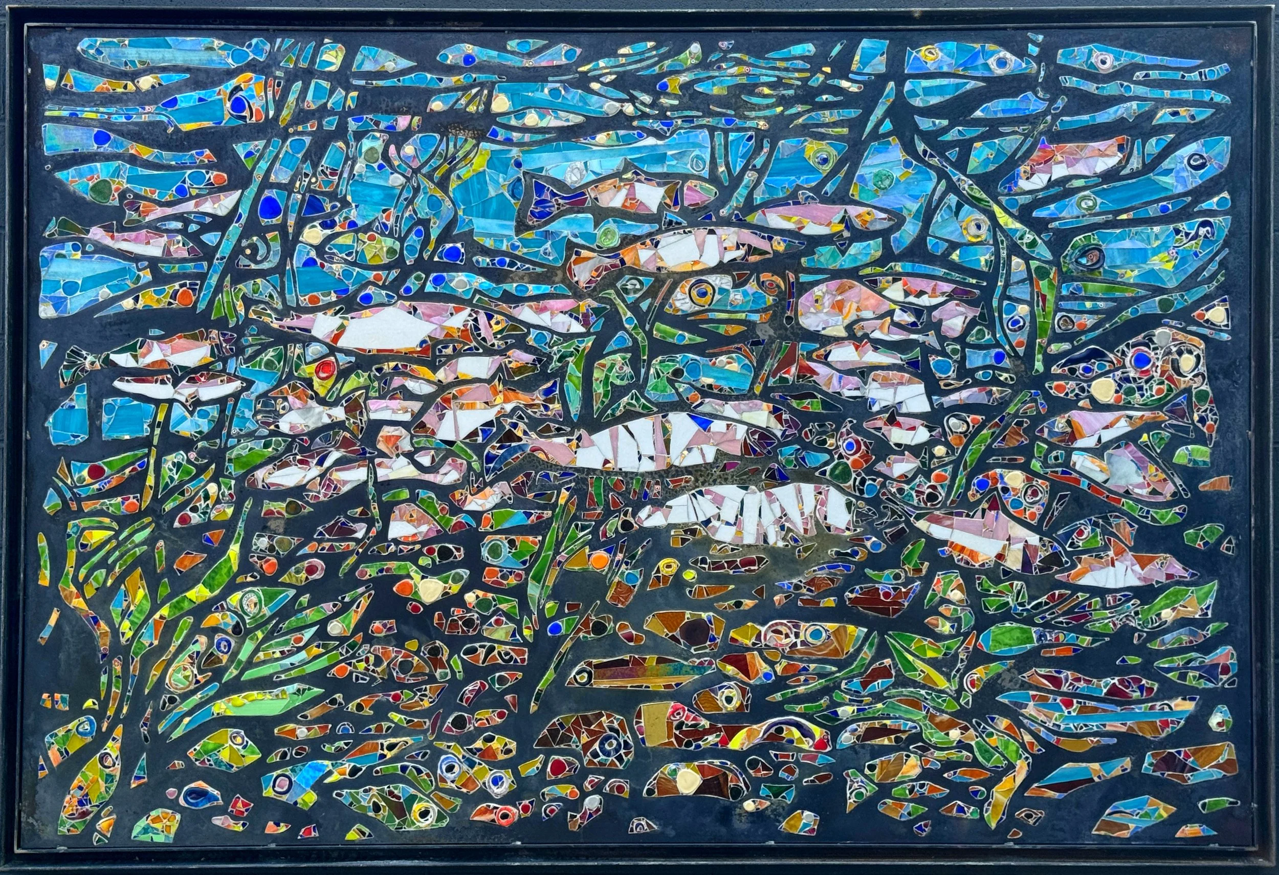 A School of Trout