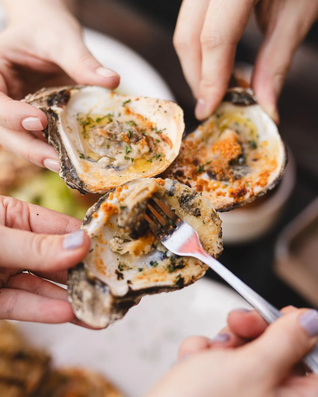 Every great meal has to start somewhere&hellip; We just start with the good stuff. 😮&zwj;💨⁠
⁠
🦪 Broiled oysters⁠
🔥 Boudin balls⁠
🍅 Fried green tomatoes⁠
🦑 Calamari⁠
🧀 30A Queso (yes, it&rsquo;s as good as it sounds)⁠
⁠
Kick off your feast the 