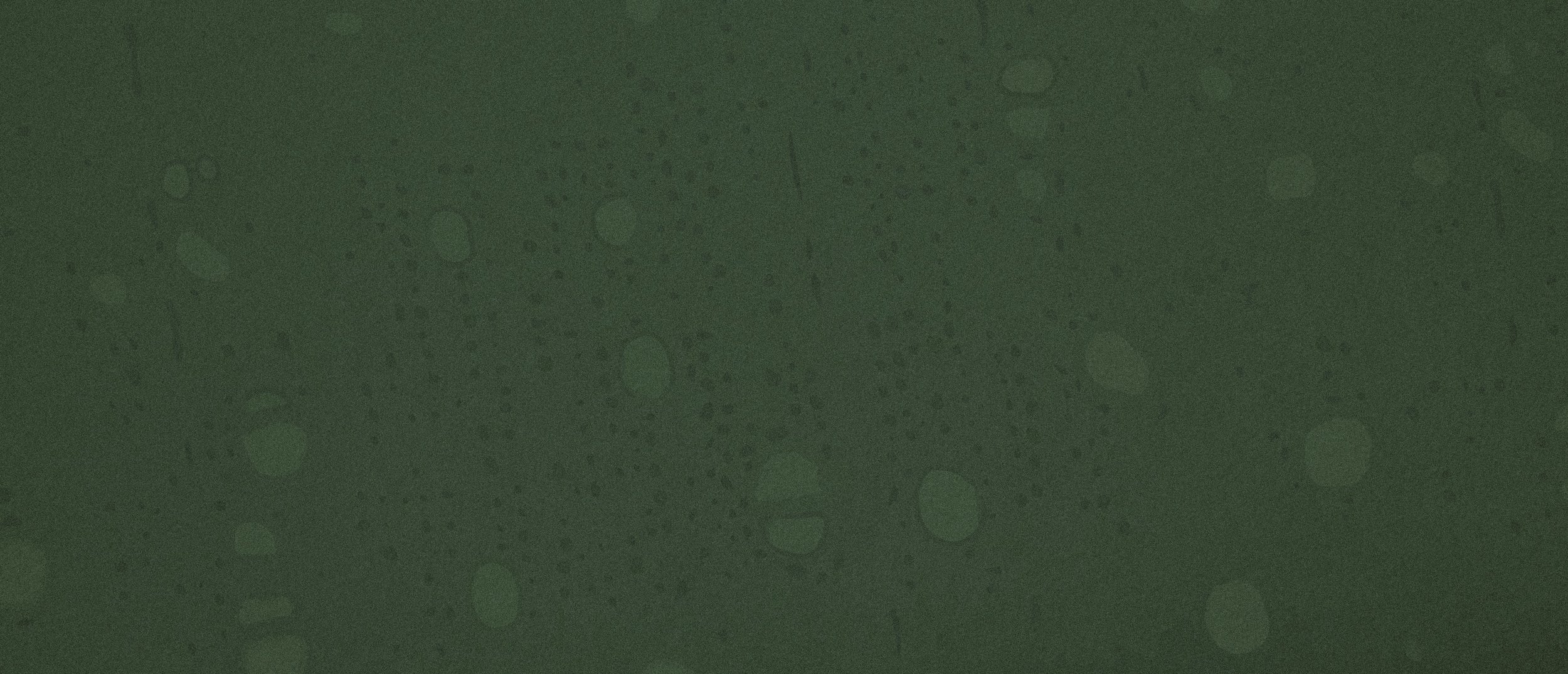 Screen Shot 2018-08-14 at 3.39.50 PM.jpeg