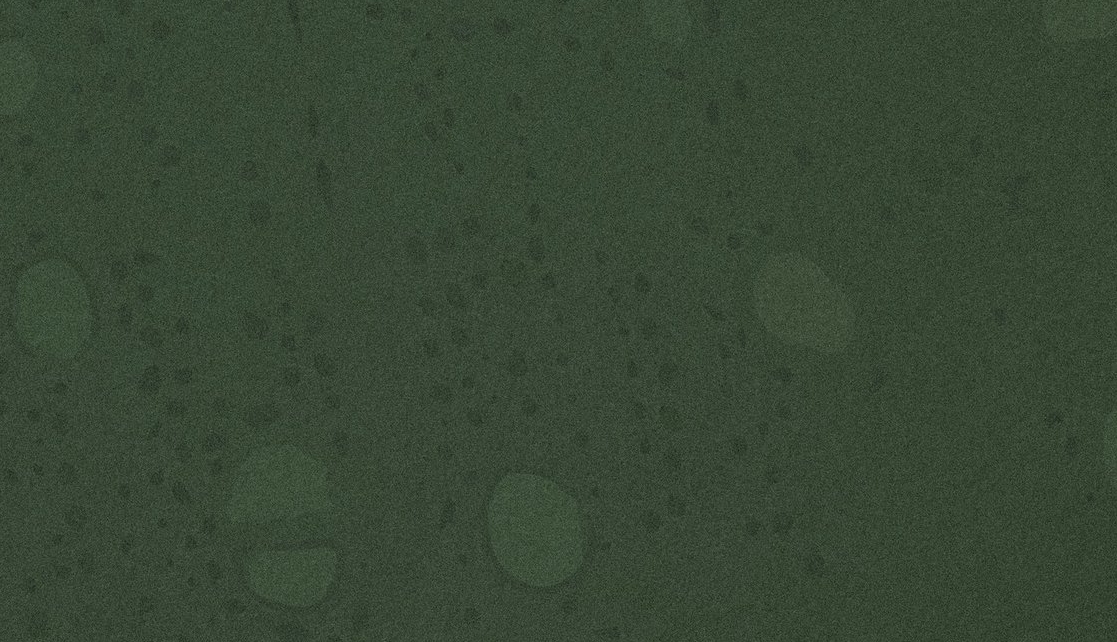 Screen Shot 2018-08-14 at 3.39.50 PM.jpeg