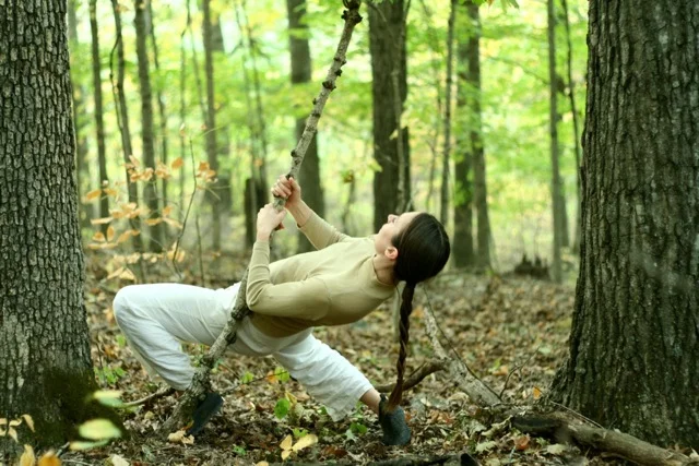 American Arts Experience-St. Louis: Holly Seitz Marchant + David Marchant