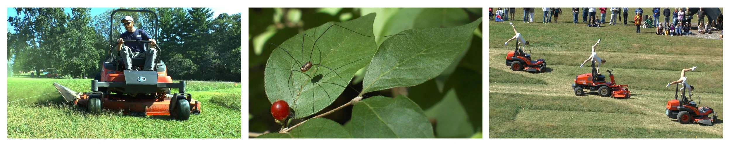 Conversation Series / Coffee + Conversation