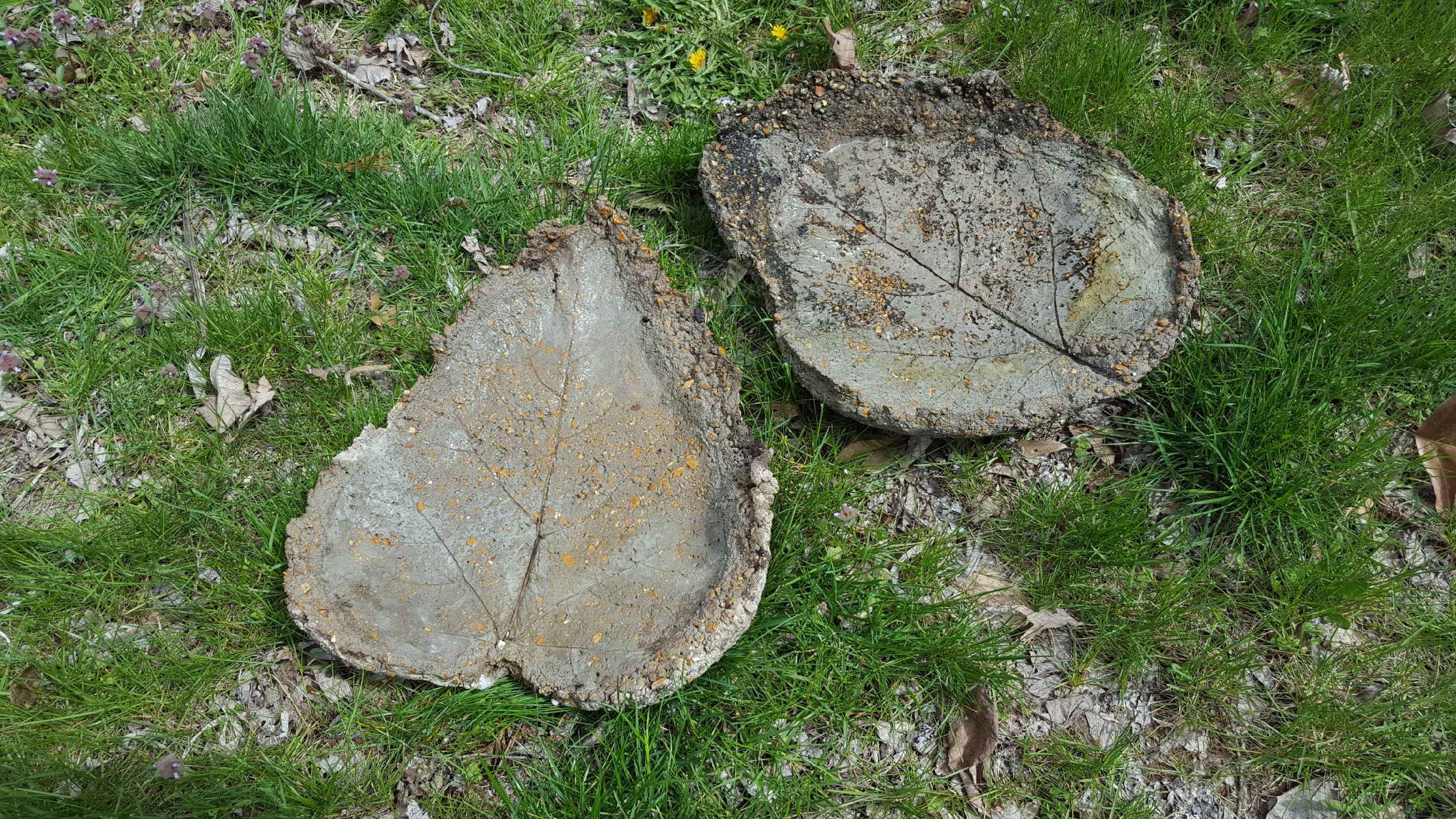 Makers Night: Cast Concrete Bird Bath