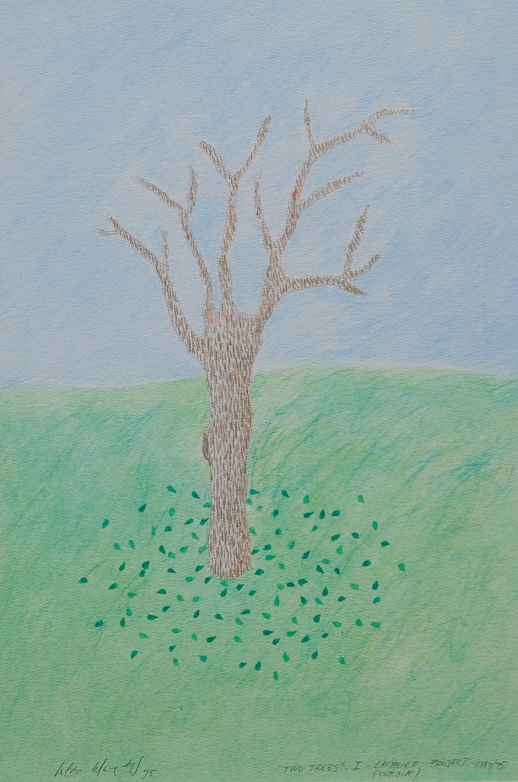 Cildo Miereles_Tree drawing.jpg