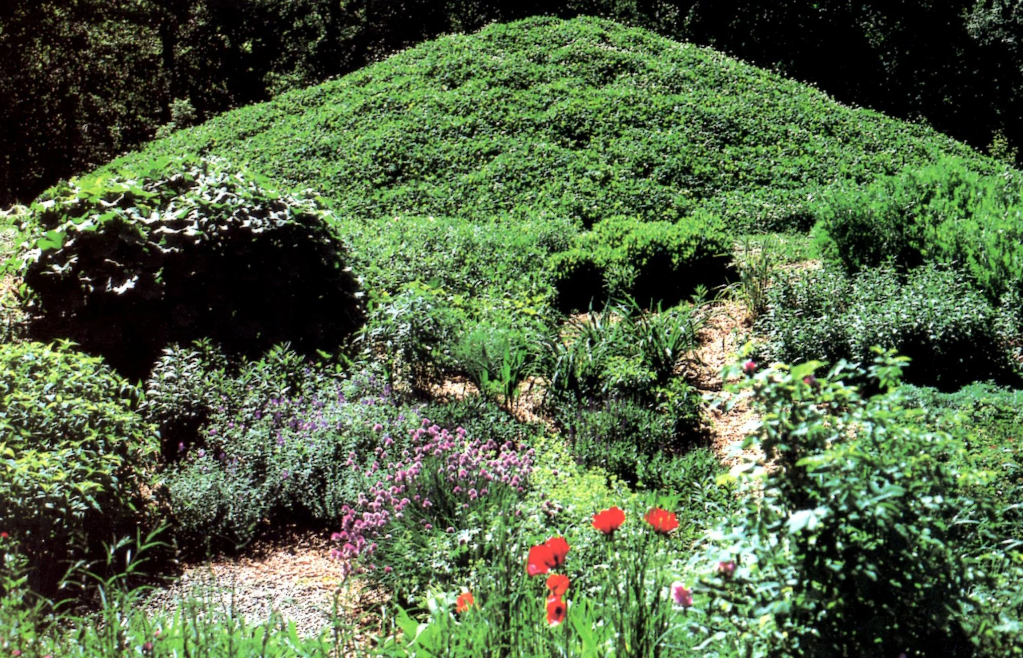 Meg Webster_Pass_1991.jpg