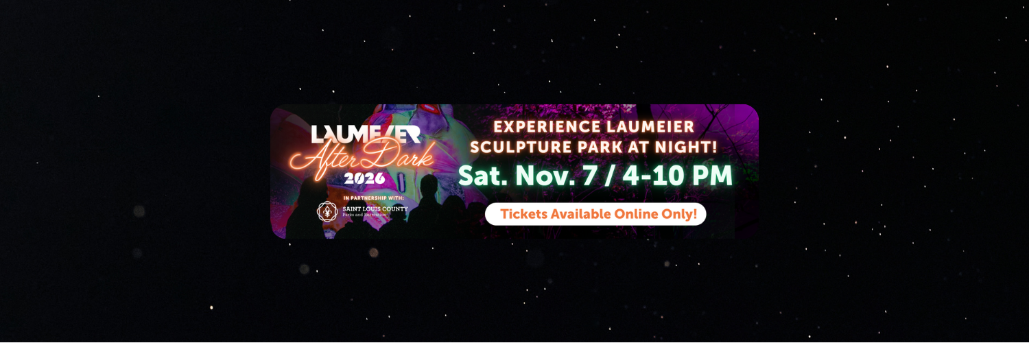 LAD Homepage Banner stars2.2.png