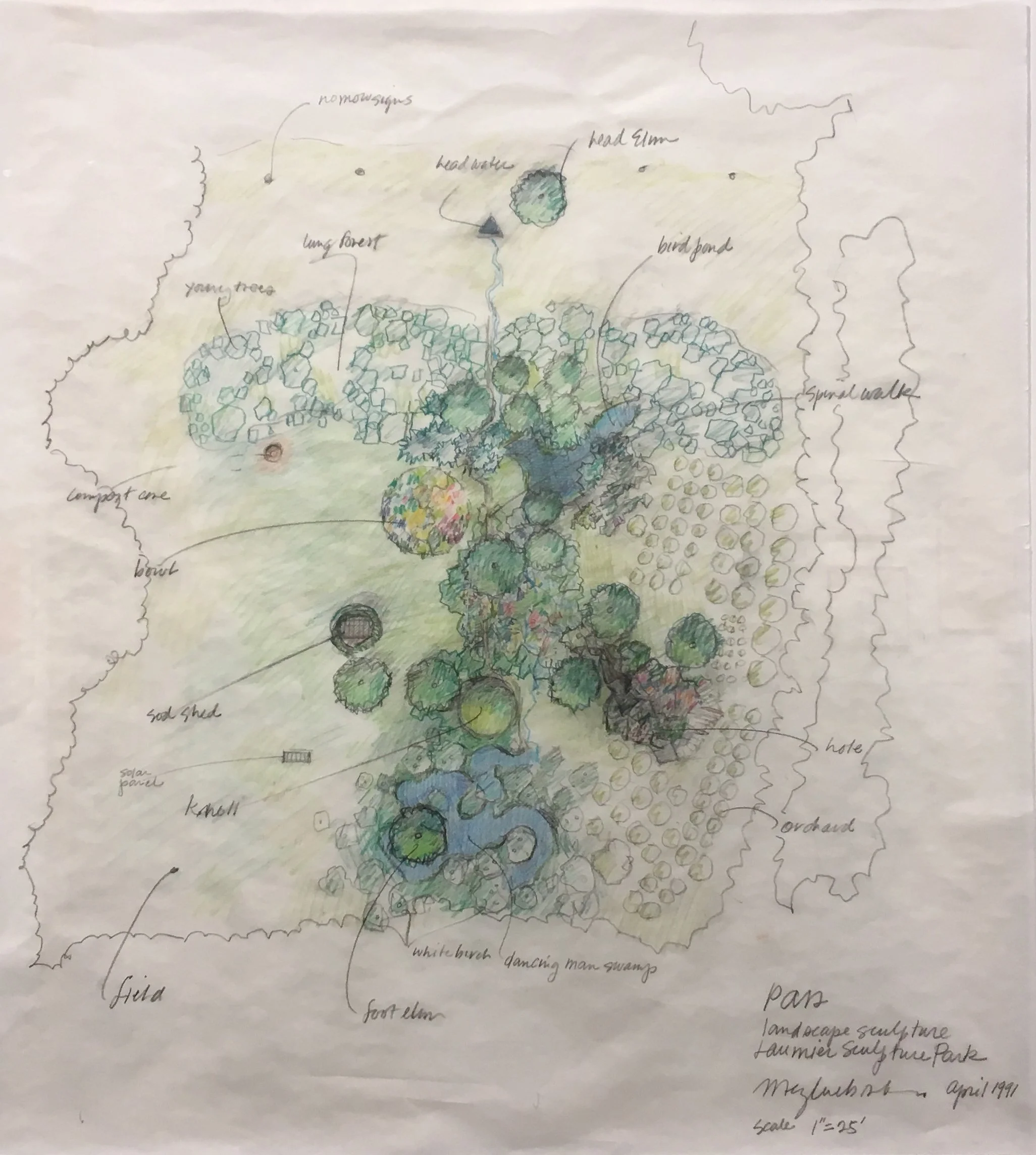 Meg Webster_Pass_drawing.jpg