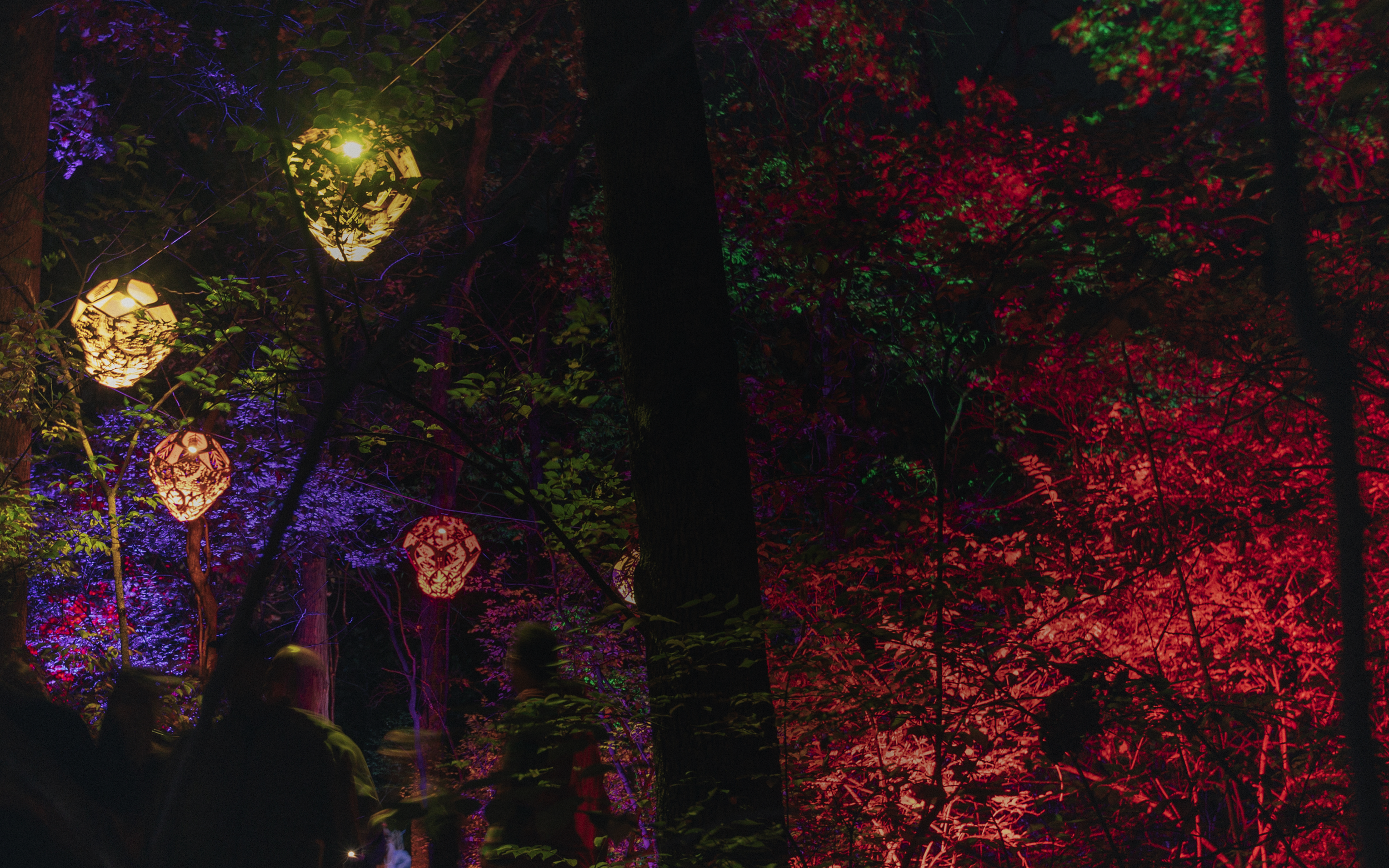 LAD Banner Image 2.png