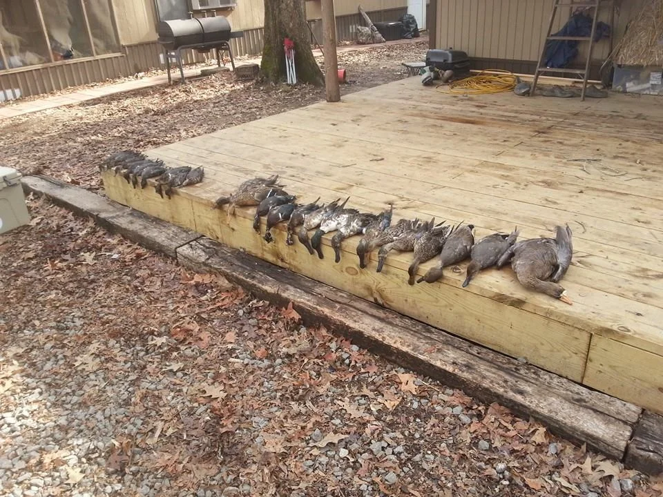 Stuttgart Arkansas Self Guided Duck Hunts