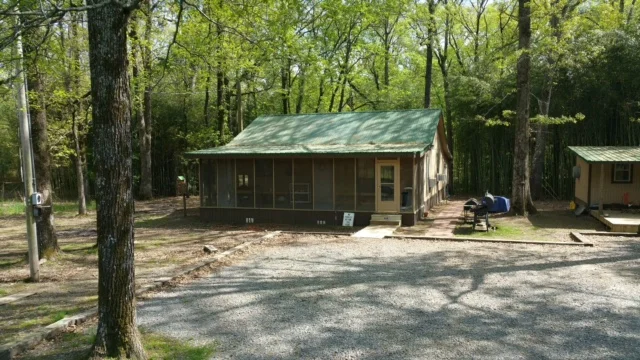 image1-1.JPG