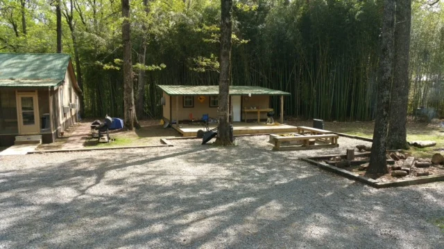 image2.JPG