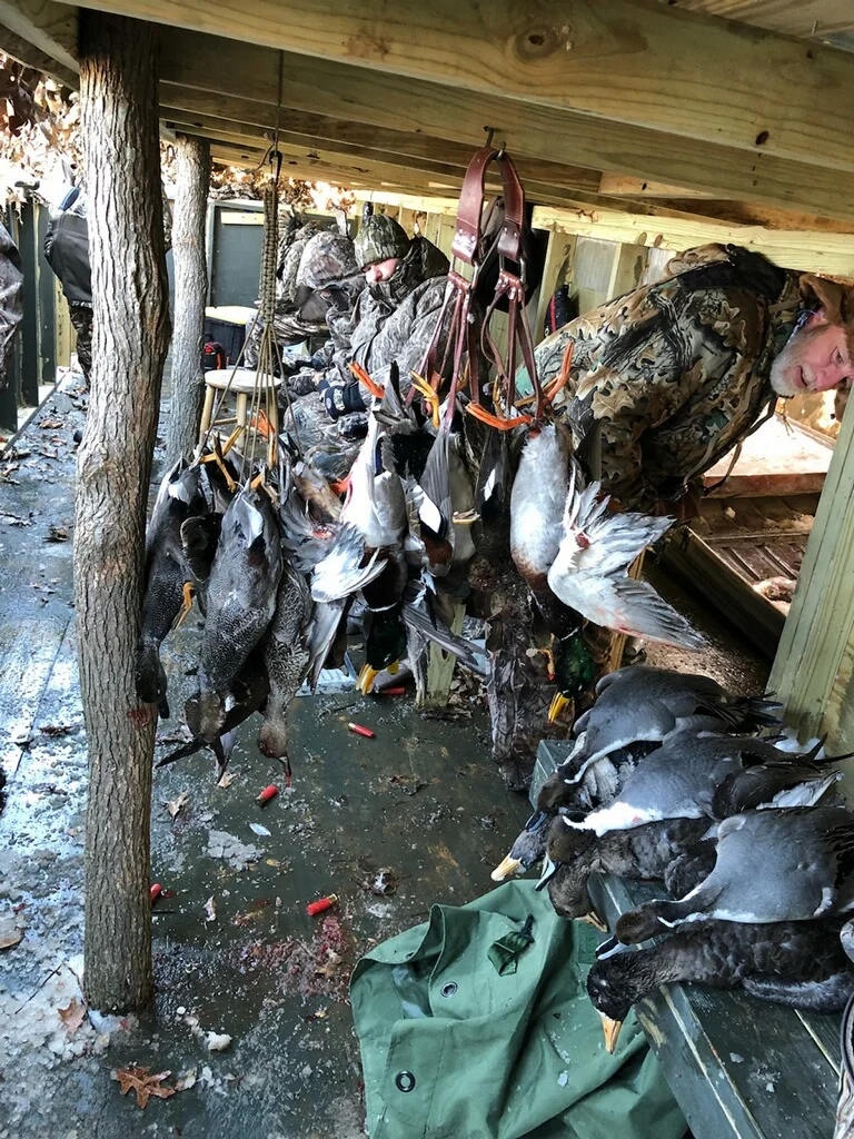 Full straps on an Arkansas guided duck hunt