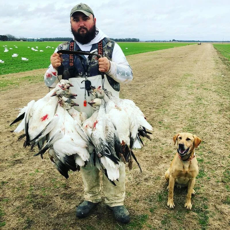 Snow Goose Conservation hunt