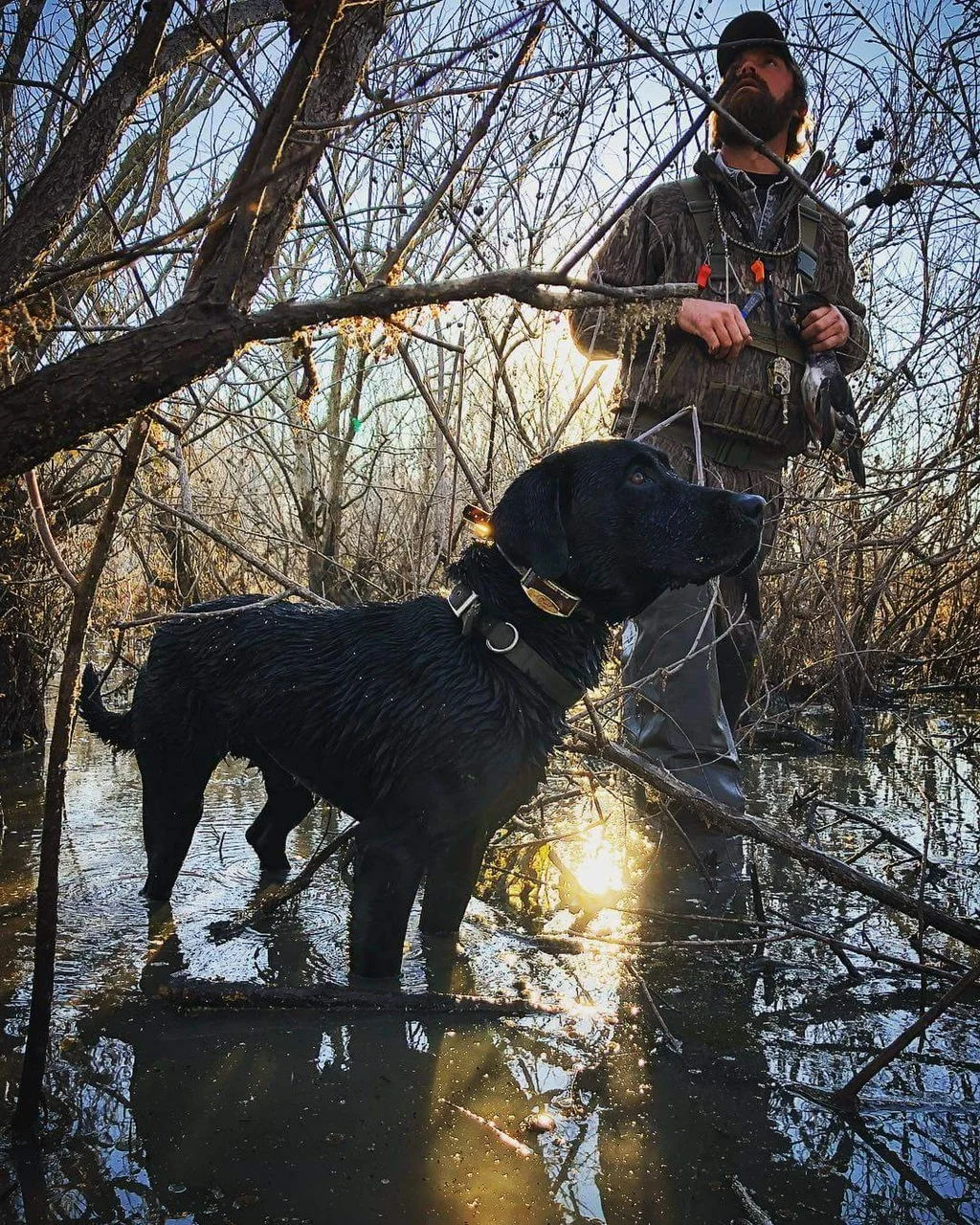 Arkansas Guided Duck HuntsArkansas County Guide Service